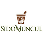 sido muncul